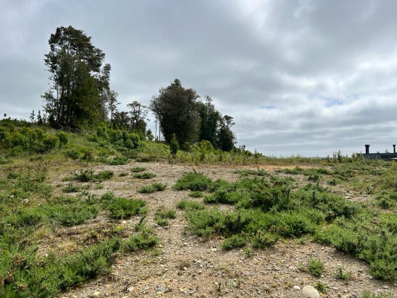 Parcela en venta en Puerto Varas — foto 5