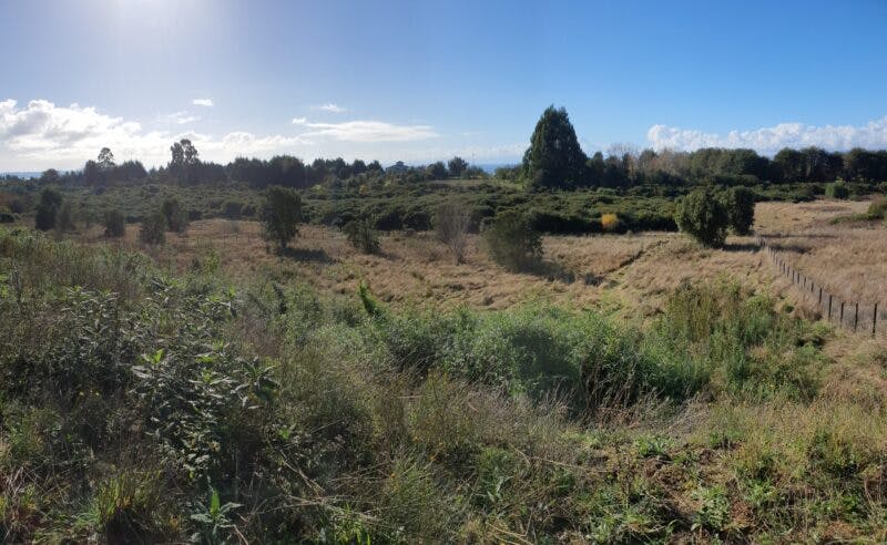 Parcela en venta en Llanquihue — foto 4