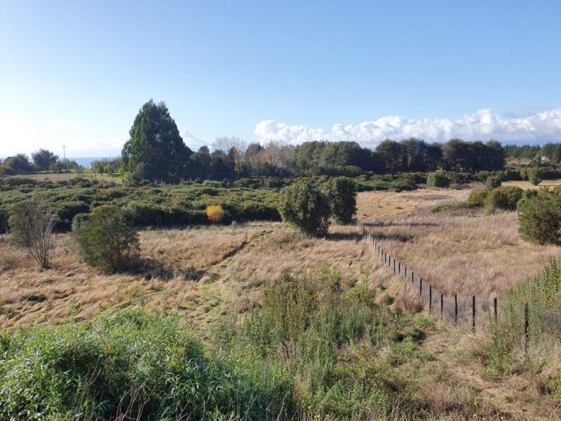 Parcela en venta en Llanquihue — foto 5