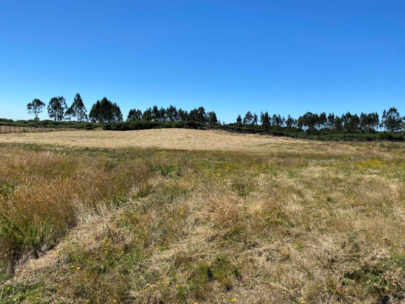 Parcela en venta en Puerto Varas — foto 2