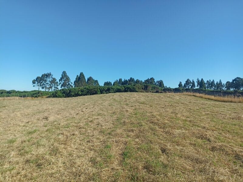 Parcela en venta en Puerto Varas — foto 6