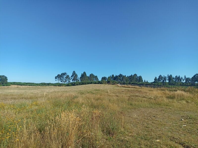 Parcela en venta en Puerto Varas — foto 8