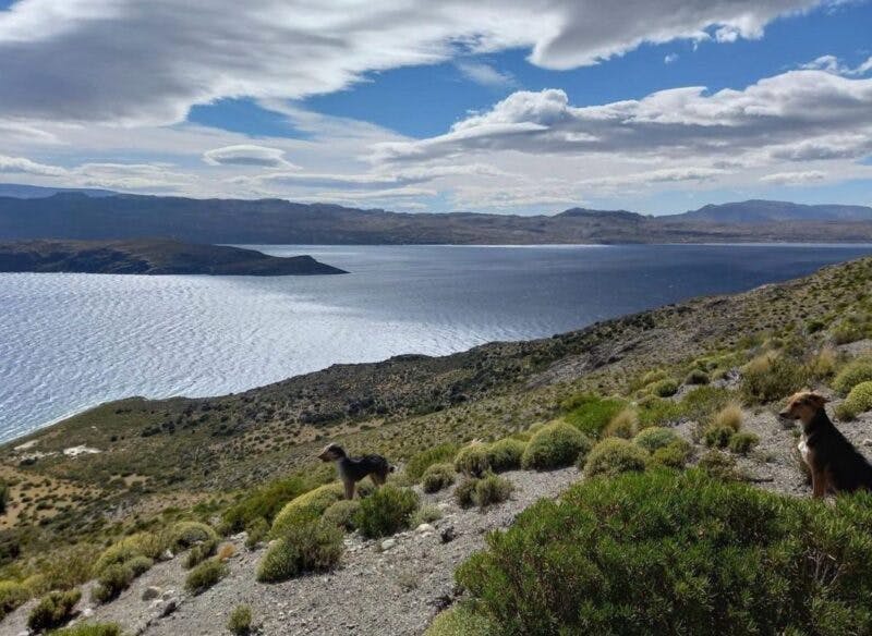 Parcela en venta en Cochrane — foto 2