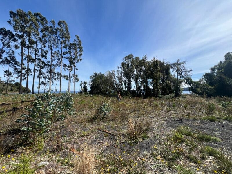 Parcela en venta en Puerto Octay — foto 4