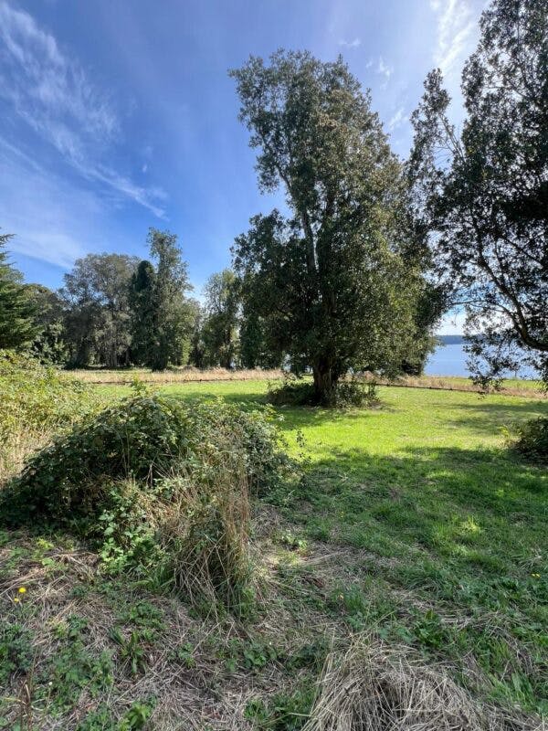 Parcela en venta en Puerto Octay — foto 8