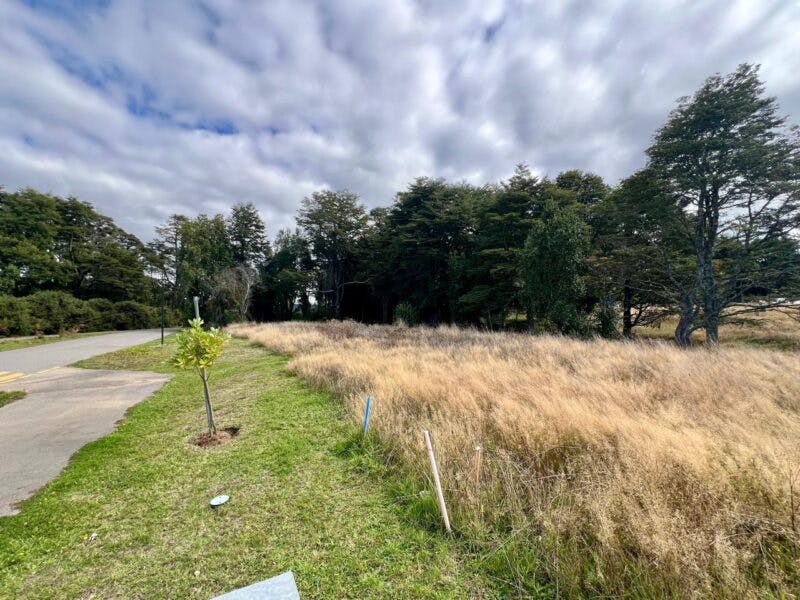 Parcela en venta en Puerto Varas — foto 1