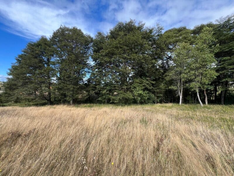 Parcela en venta en Puerto Varas — foto 3