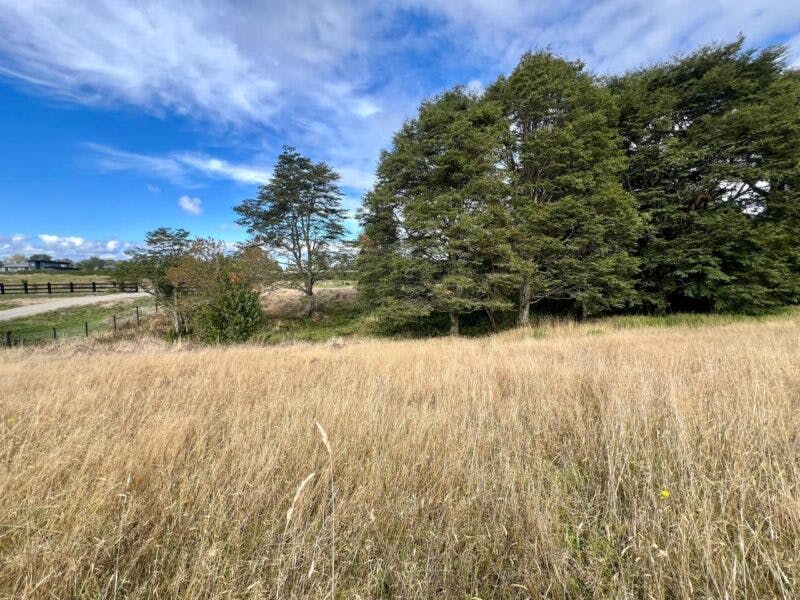 Parcela en venta en Puerto Varas — foto 6