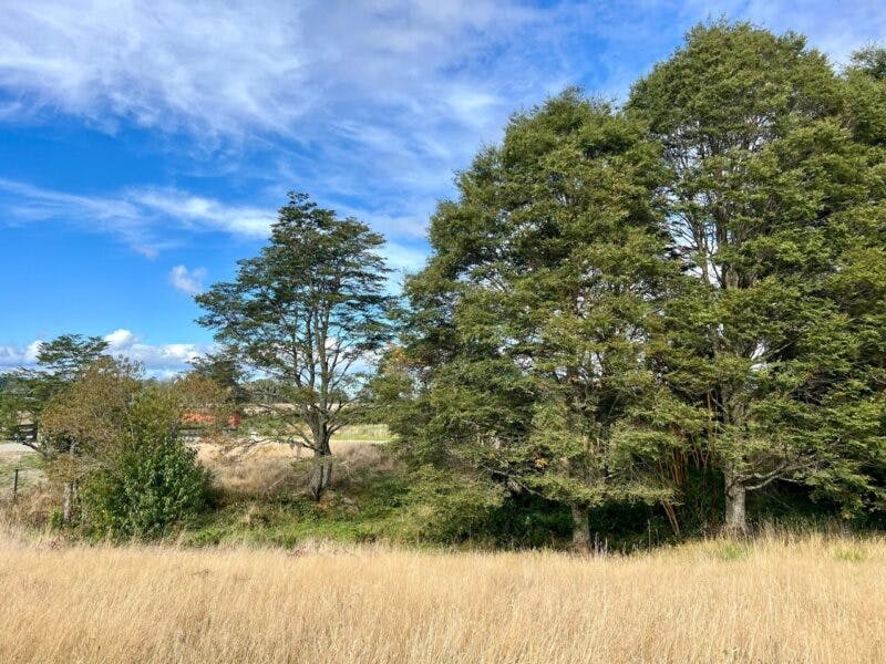 Parcela en venta en Puerto Varas — foto 7