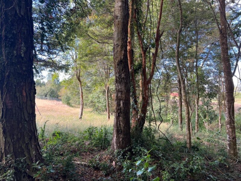 Parcela en venta en Puerto Varas — foto 10