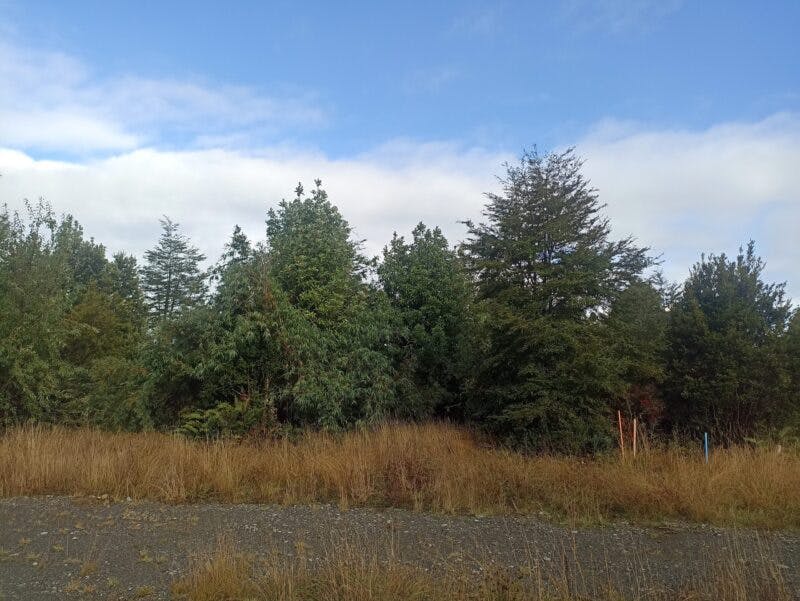 Parcela en venta en Puerto Montt — foto 1