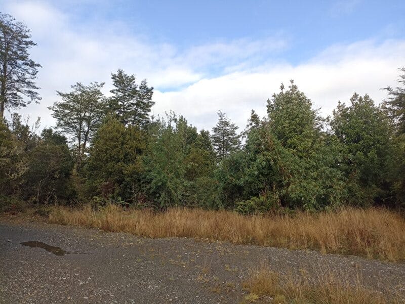 Parcela en venta en Puerto Montt — foto 2