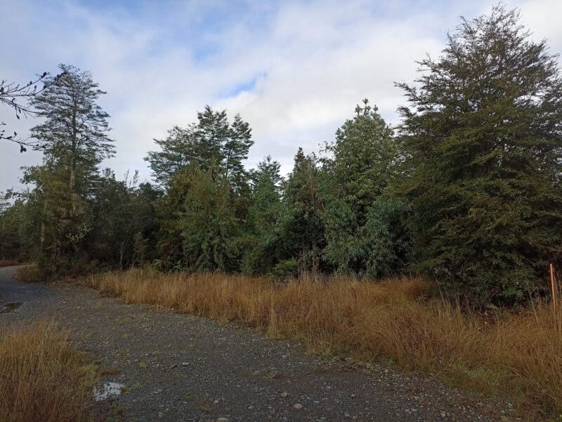 Parcela en venta en Puerto Montt — foto 3