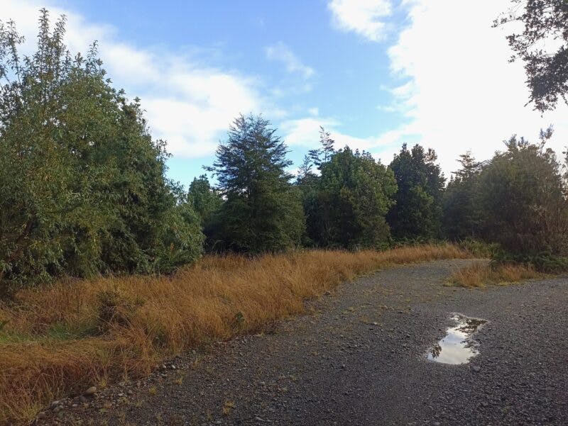 Parcela en venta en Puerto Montt — foto 4