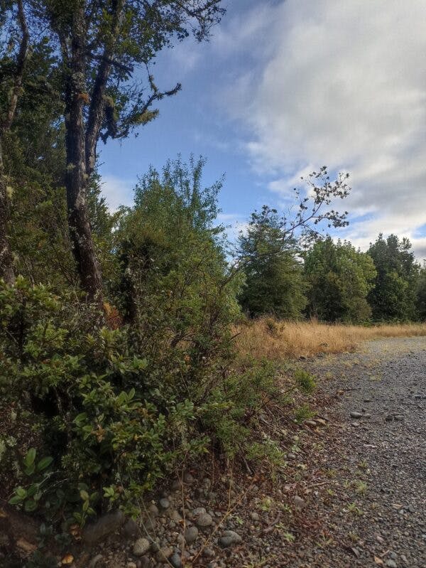 Parcela en venta en Puerto Montt — foto 6