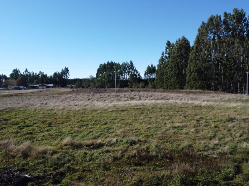 Parcela en venta en Puerto Varas — foto 4