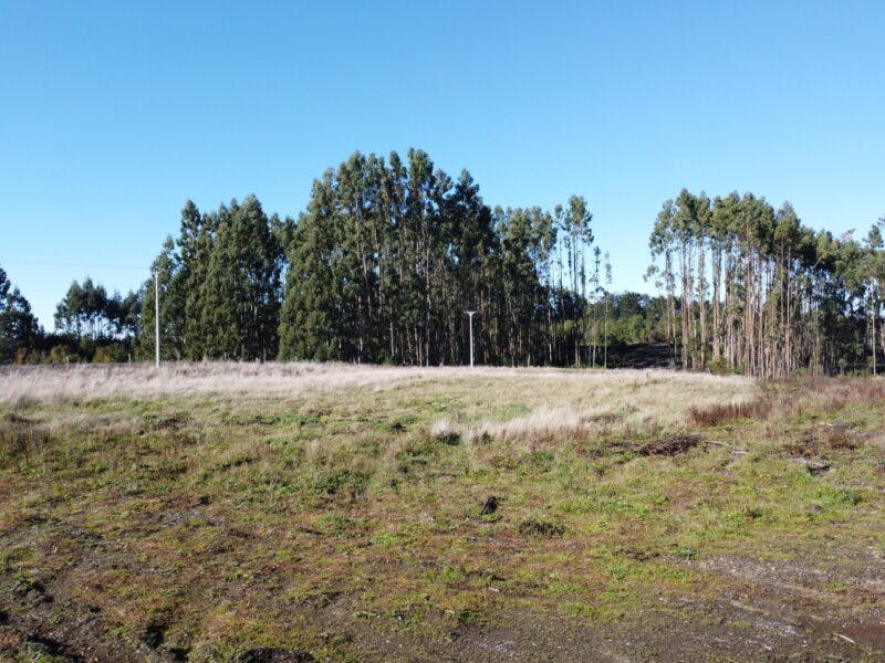 Parcela en venta en Puerto Varas — foto 5