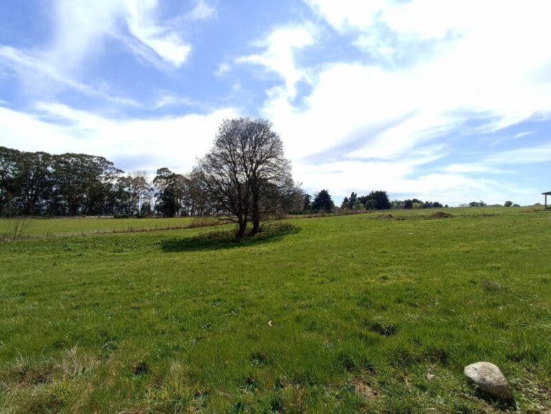 Parcela en venta en Puerto Varas — foto 5