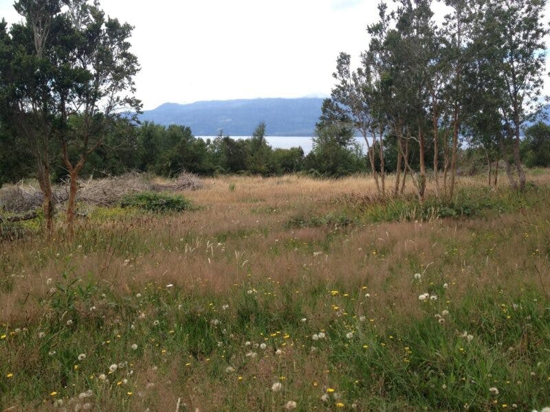 Parcela en venta en Puerto Varas — foto 4