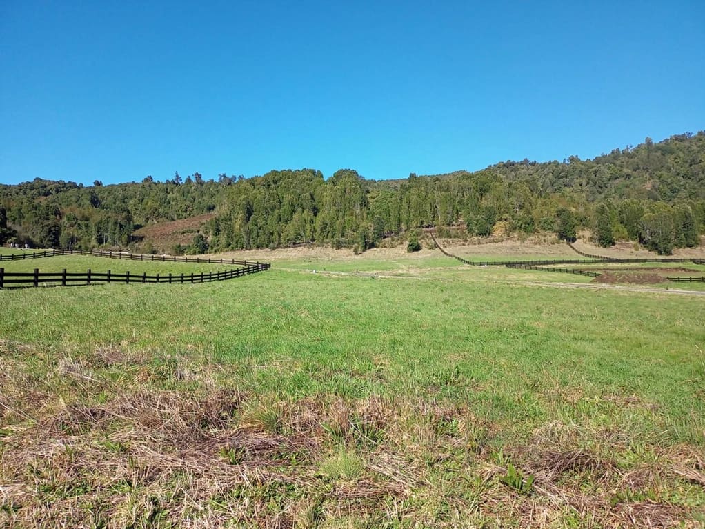 Parcela en venta en Puerto Varas — foto 3