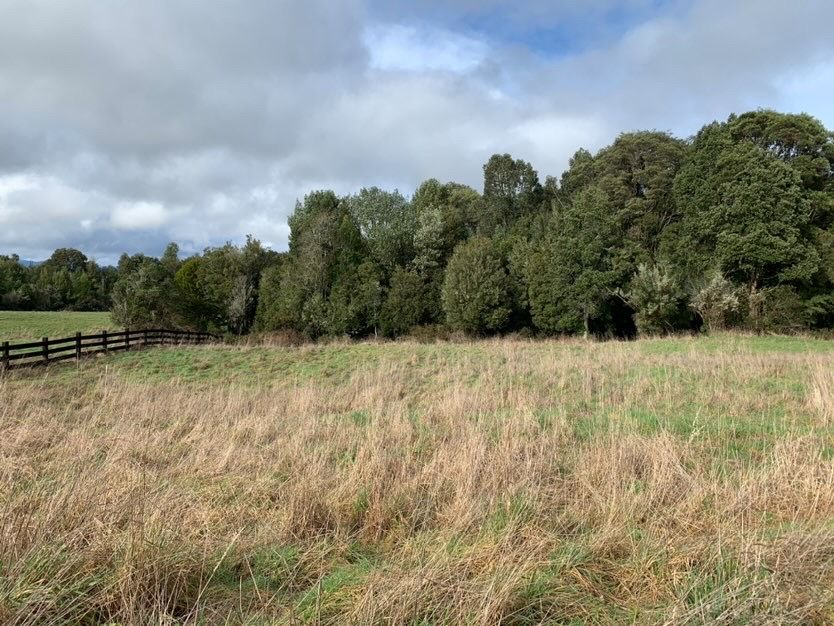 Parcela en venta en Puerto Varas — foto 1