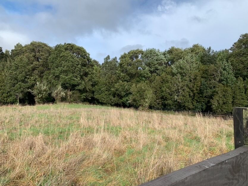 Parcela en venta en Puerto Varas — foto 2