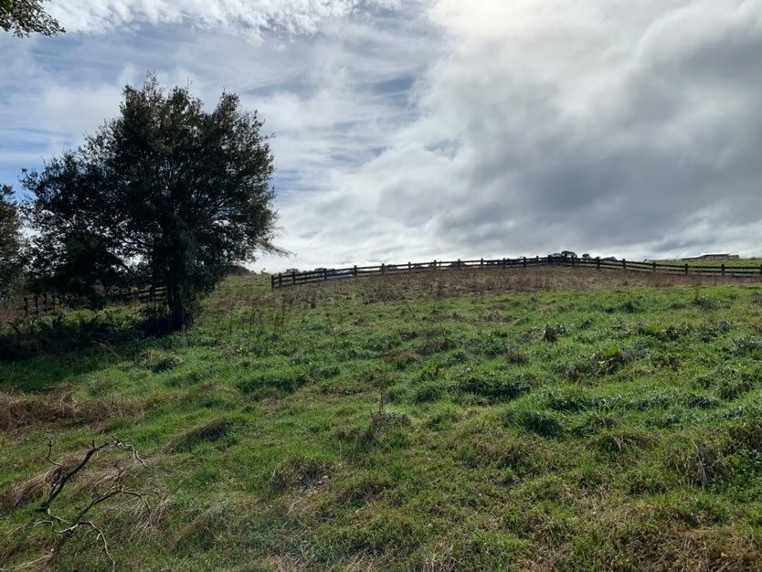 Parcela en venta en Puerto Varas — foto 5