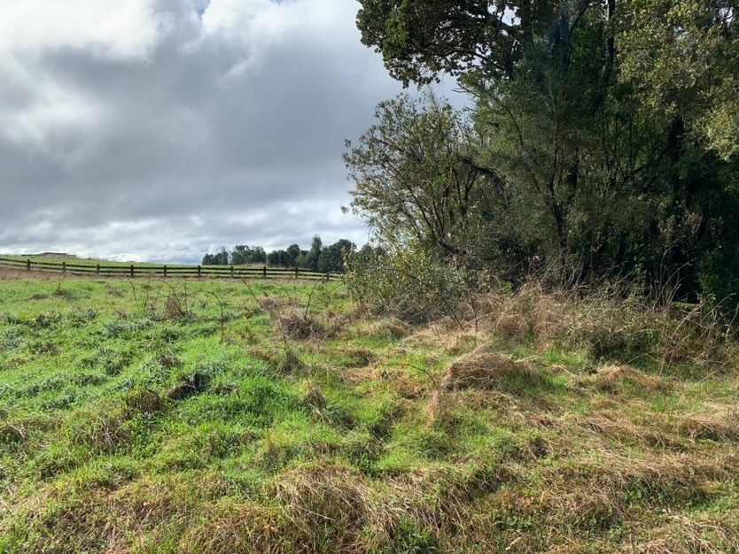 Parcela en venta en Puerto Varas — foto 6