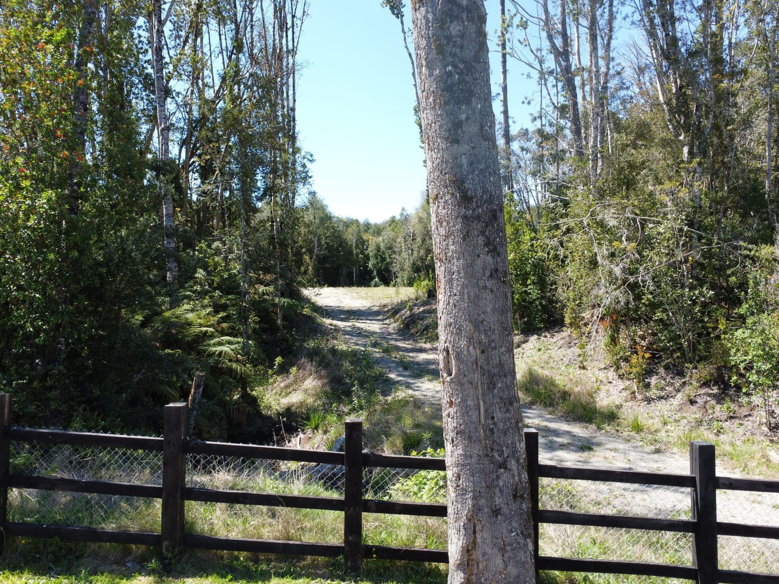 Parcela en venta en Puerto Varas — foto 4