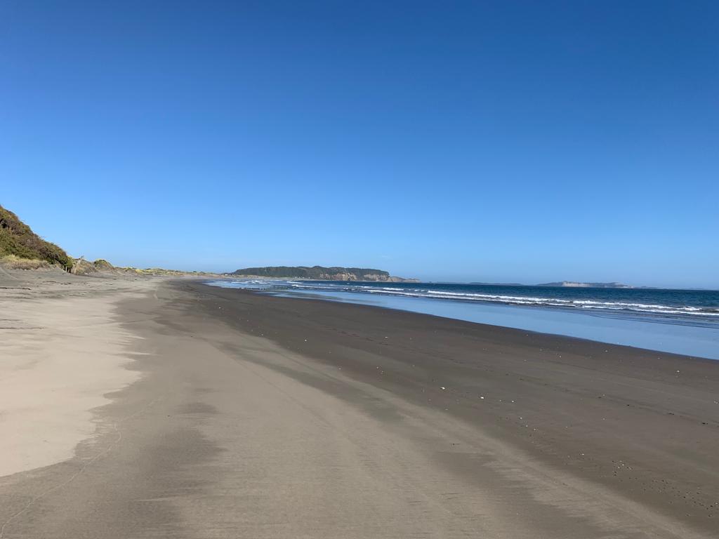 Parcela en venta en Los Muermos — foto 1