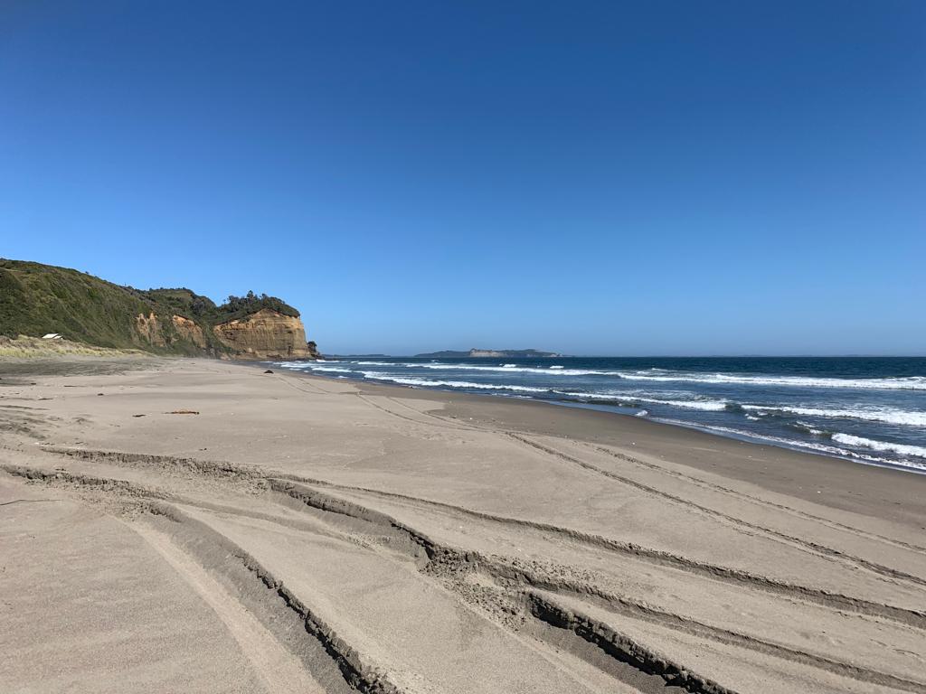 Parcela en venta en Los Muermos — foto 3