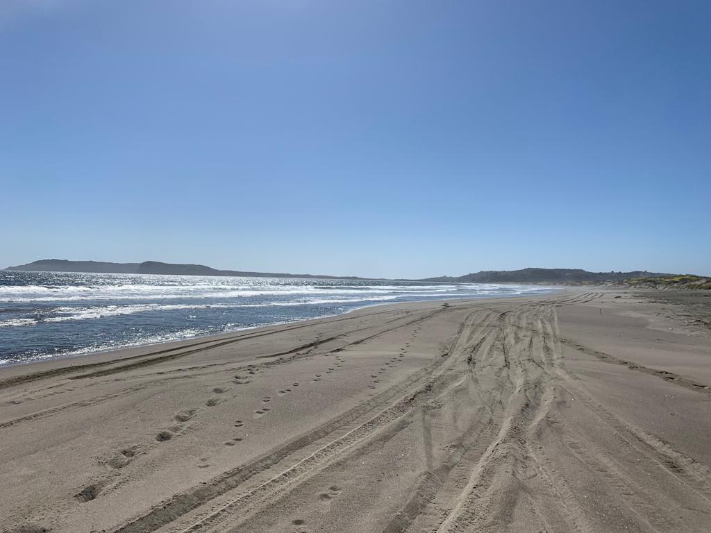 Parcela en venta en Los Muermos — foto 4