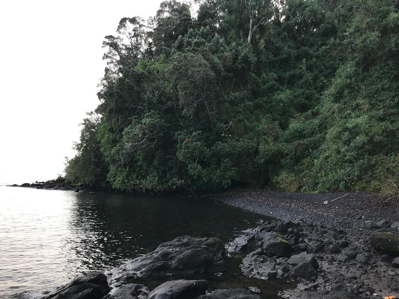 Parcela en venta en Puerto Octay — foto 2