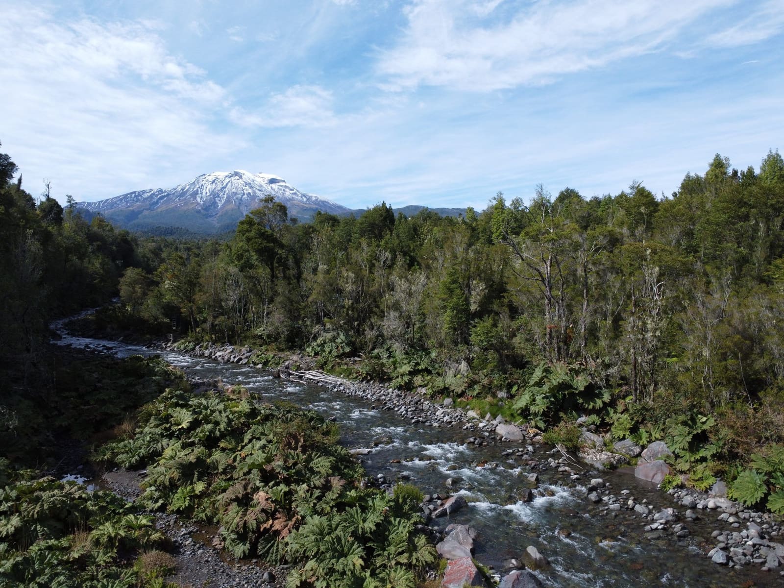 Parcela en venta en Puerto Varas — foto 1