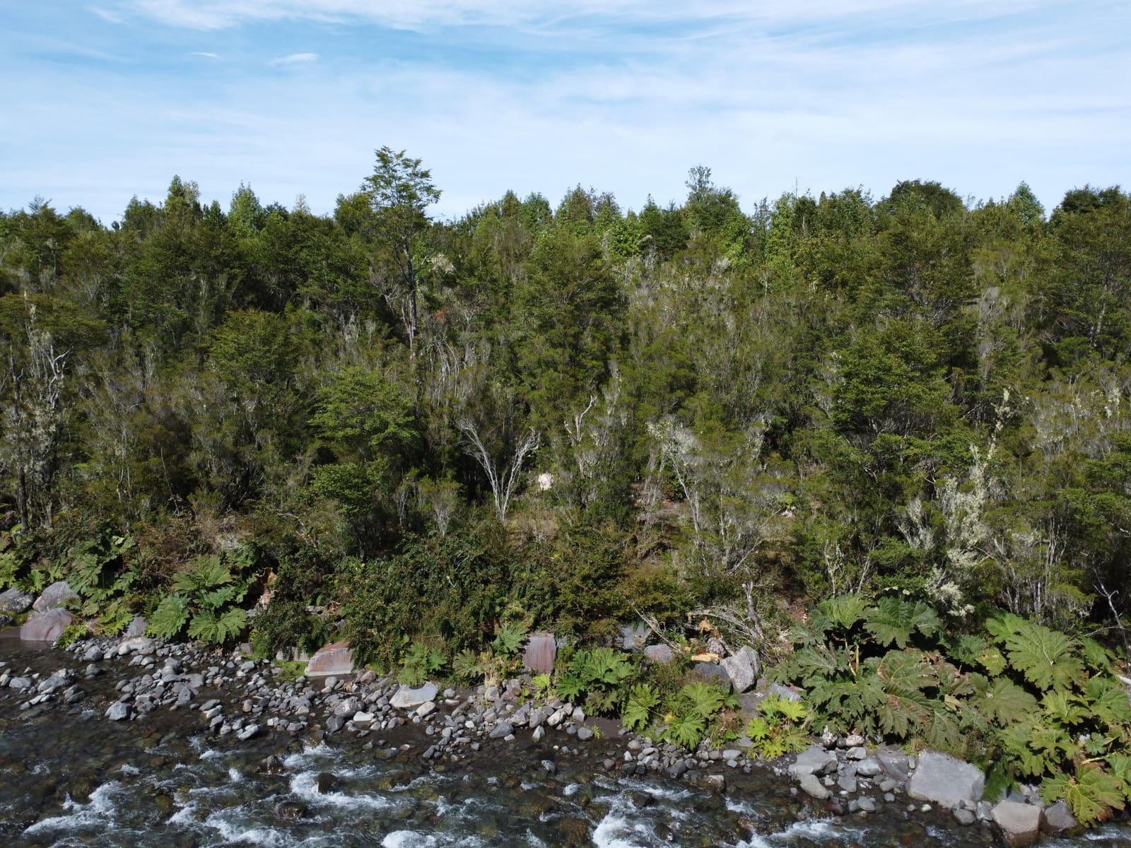 Parcela en venta en Puerto Varas — foto 4