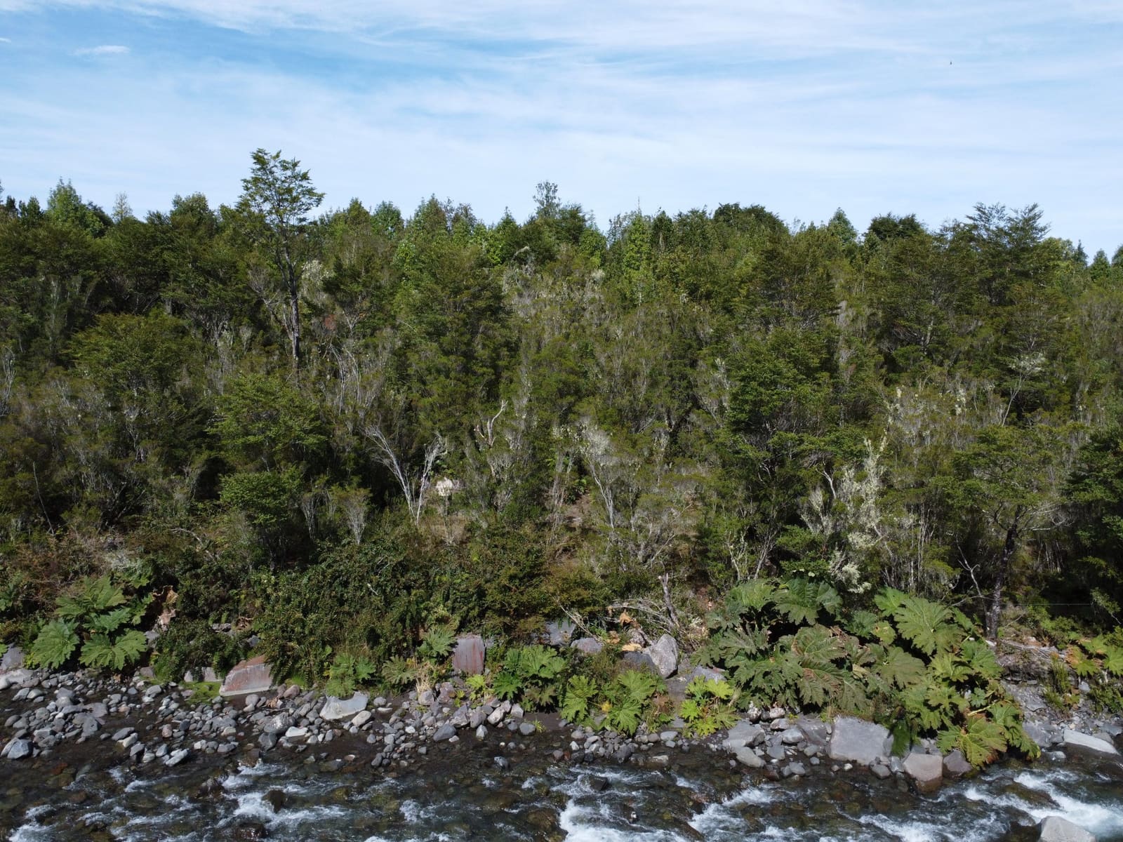 Parcela en venta en Puerto Varas — foto 5