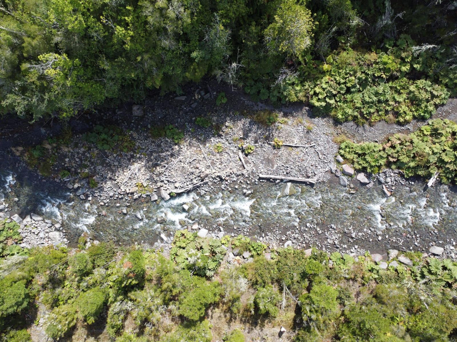 Parcela en venta en Puerto Varas — foto 6