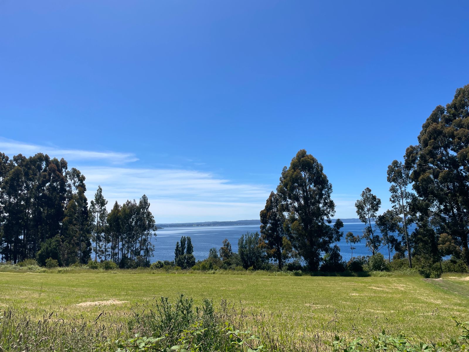 Terreno en venta en Lago Ranco — foto 1