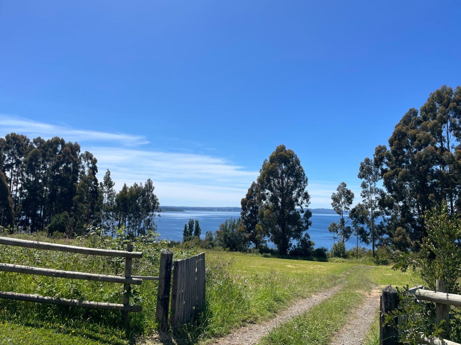 Terreno en venta en Lago Ranco — foto 2