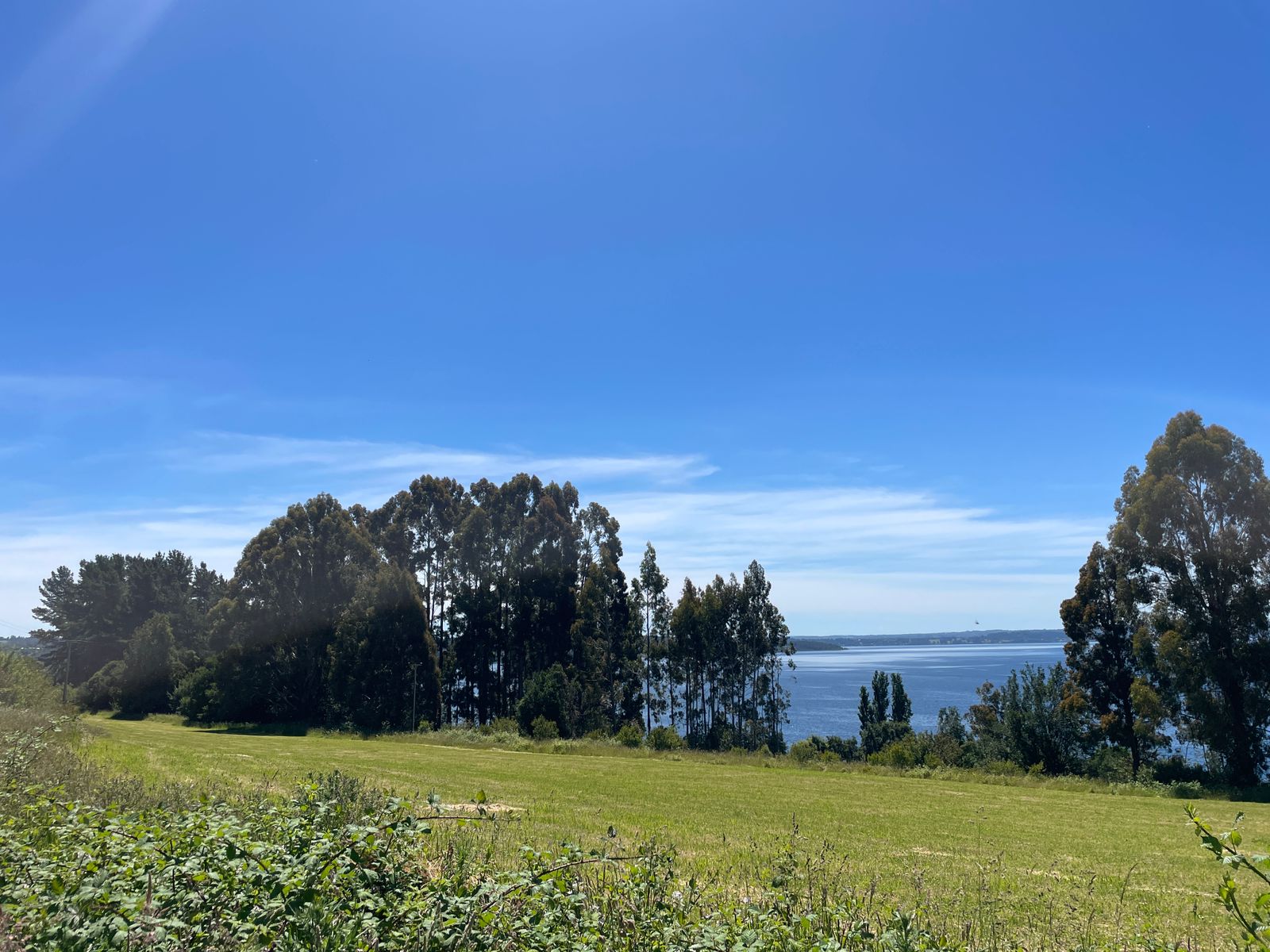 Terreno en venta en Lago Ranco — foto 3