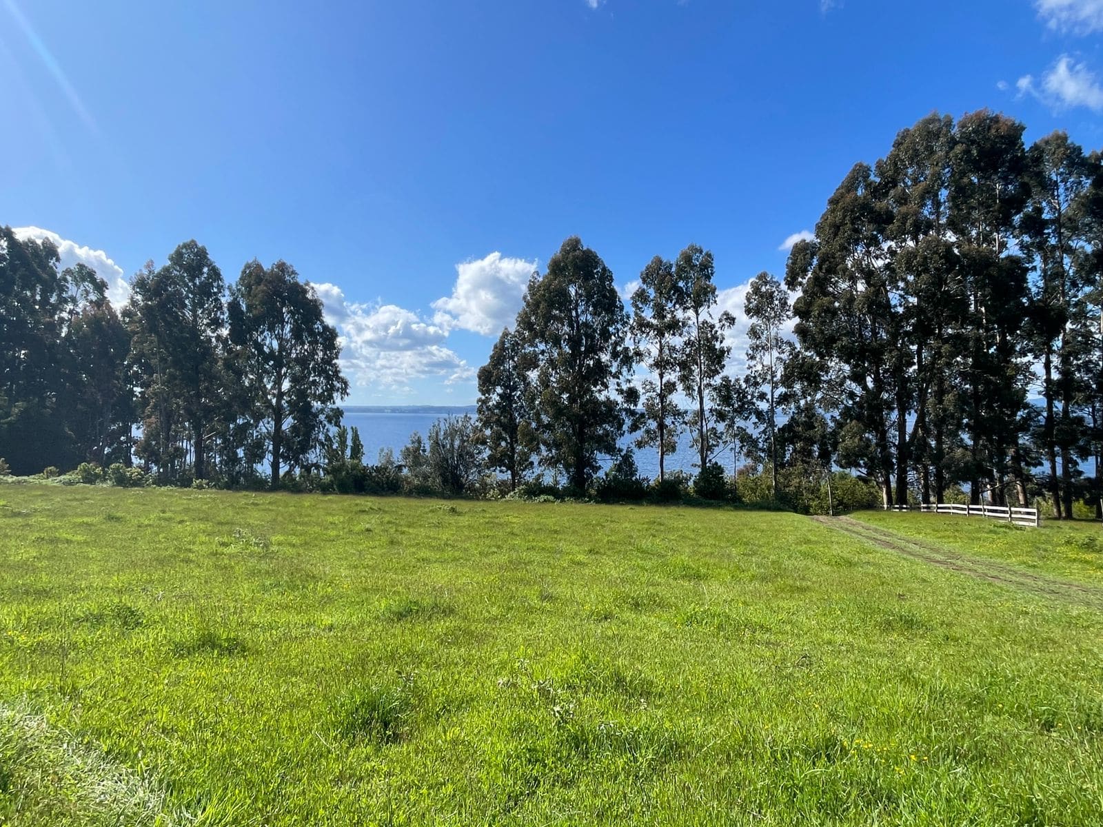 Terreno en venta en Lago Ranco — foto 4