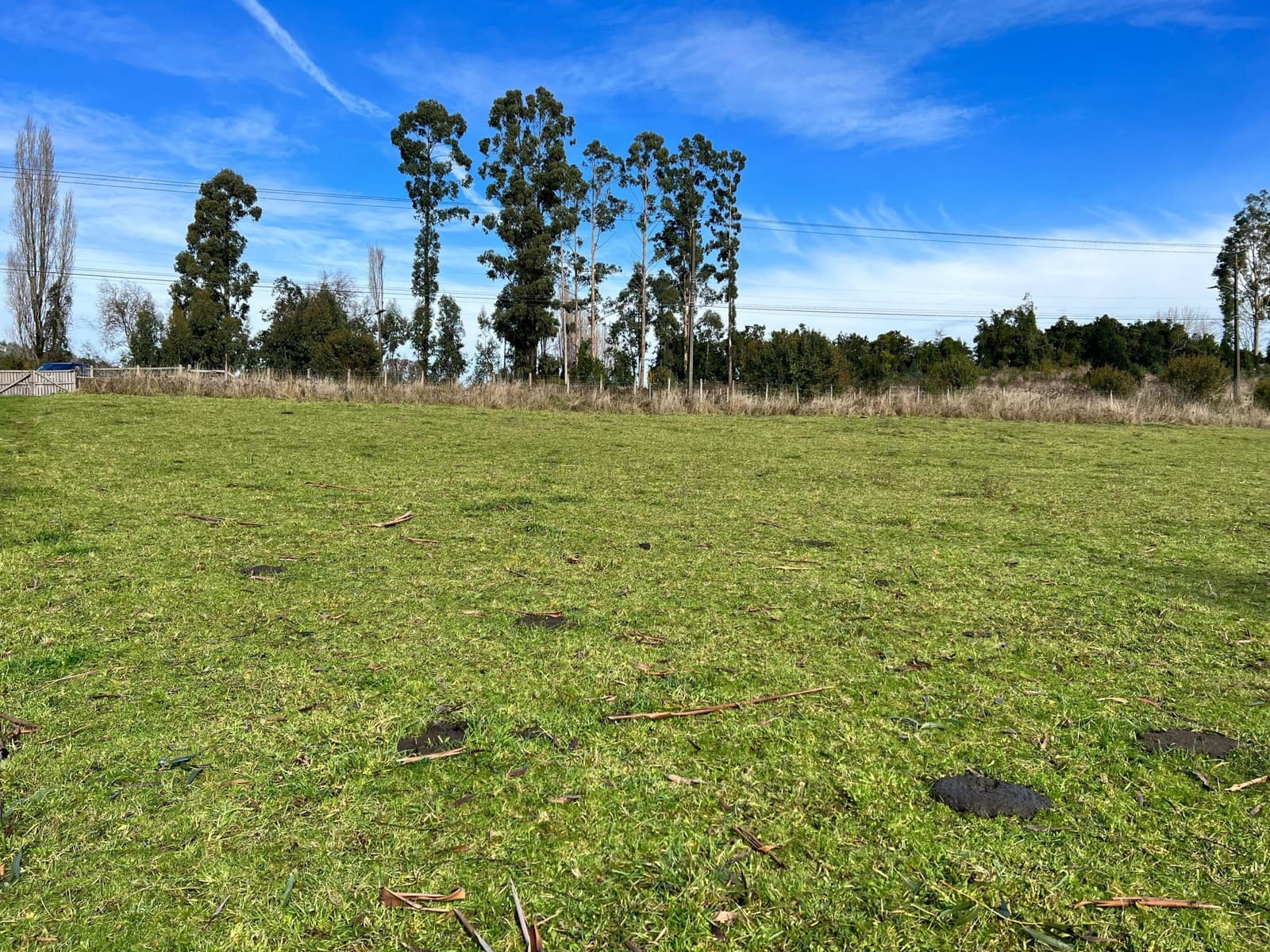 Terreno en venta en Lago Ranco — foto 8