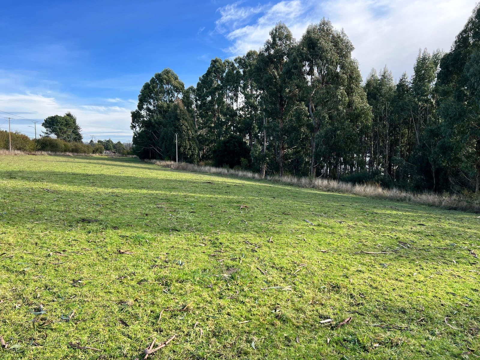 Terreno en venta en Lago Ranco — foto 9