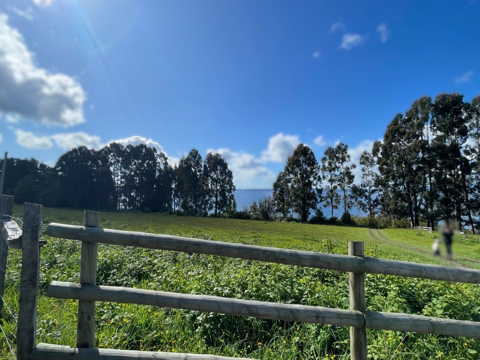 Terreno en venta en Lago Ranco — foto 10