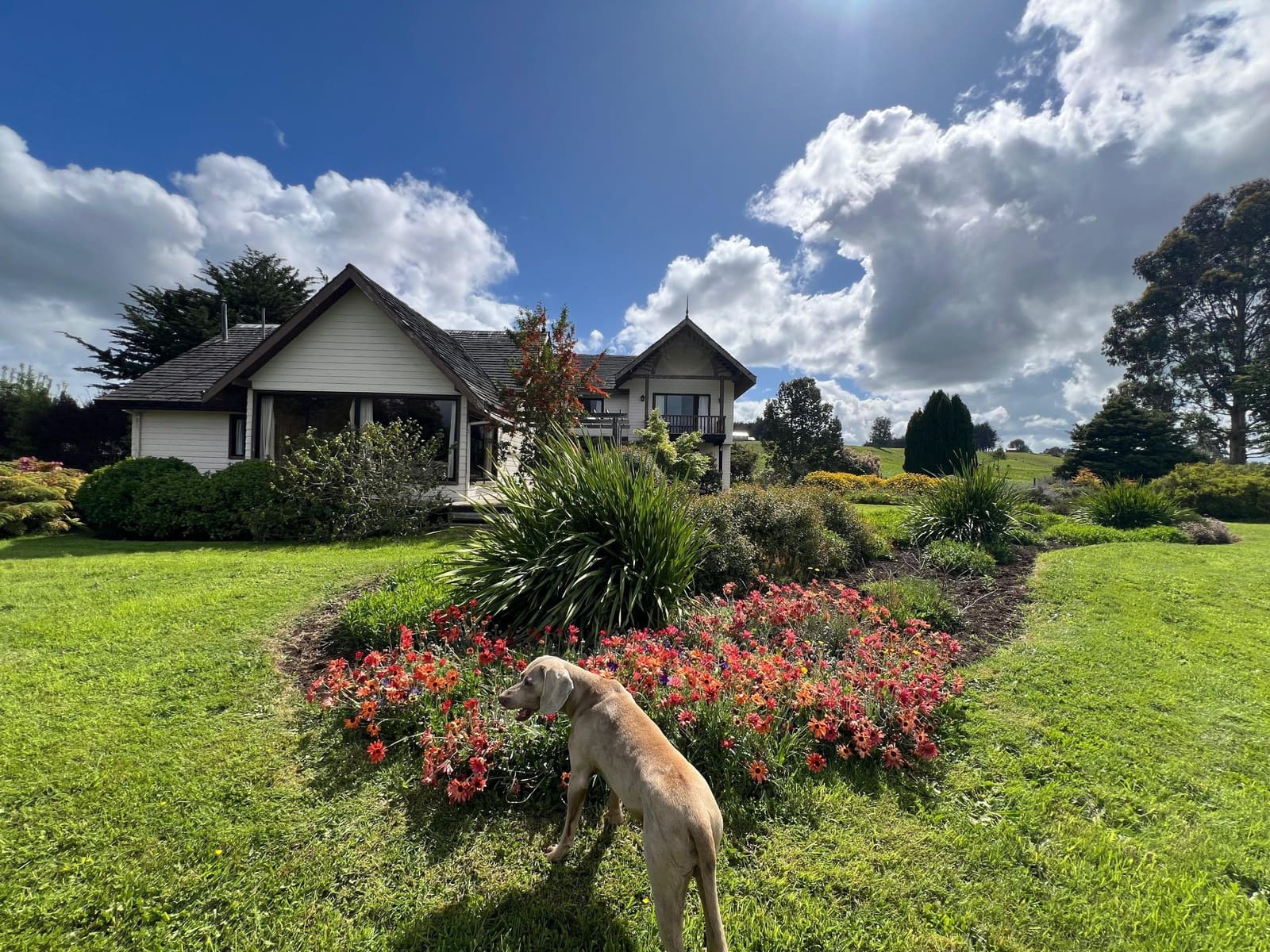 Casa en venta en Frutillar — foto 2