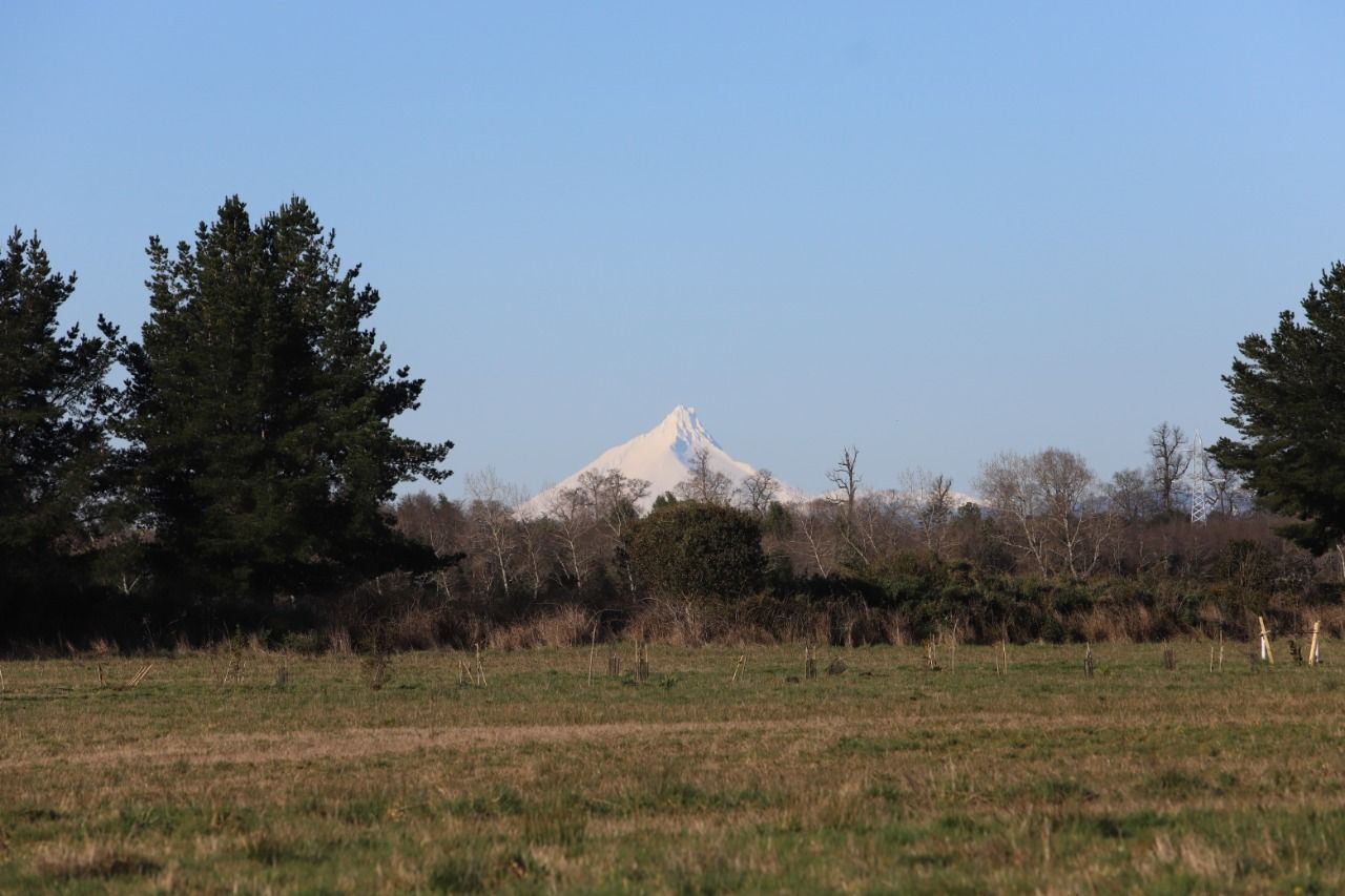 Parcela en venta en Frutillar — foto 2