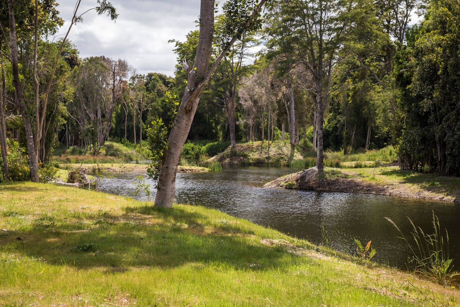 Parcela en venta en Frutillar — foto 10