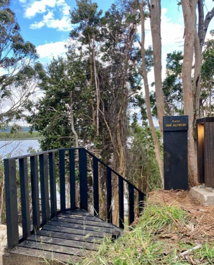 Parcela en venta en Los Muermos — foto 6