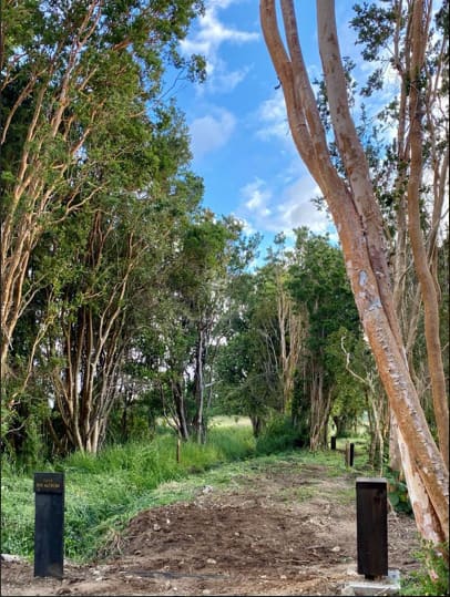 Parcela en venta en Los Muermos — foto 7
