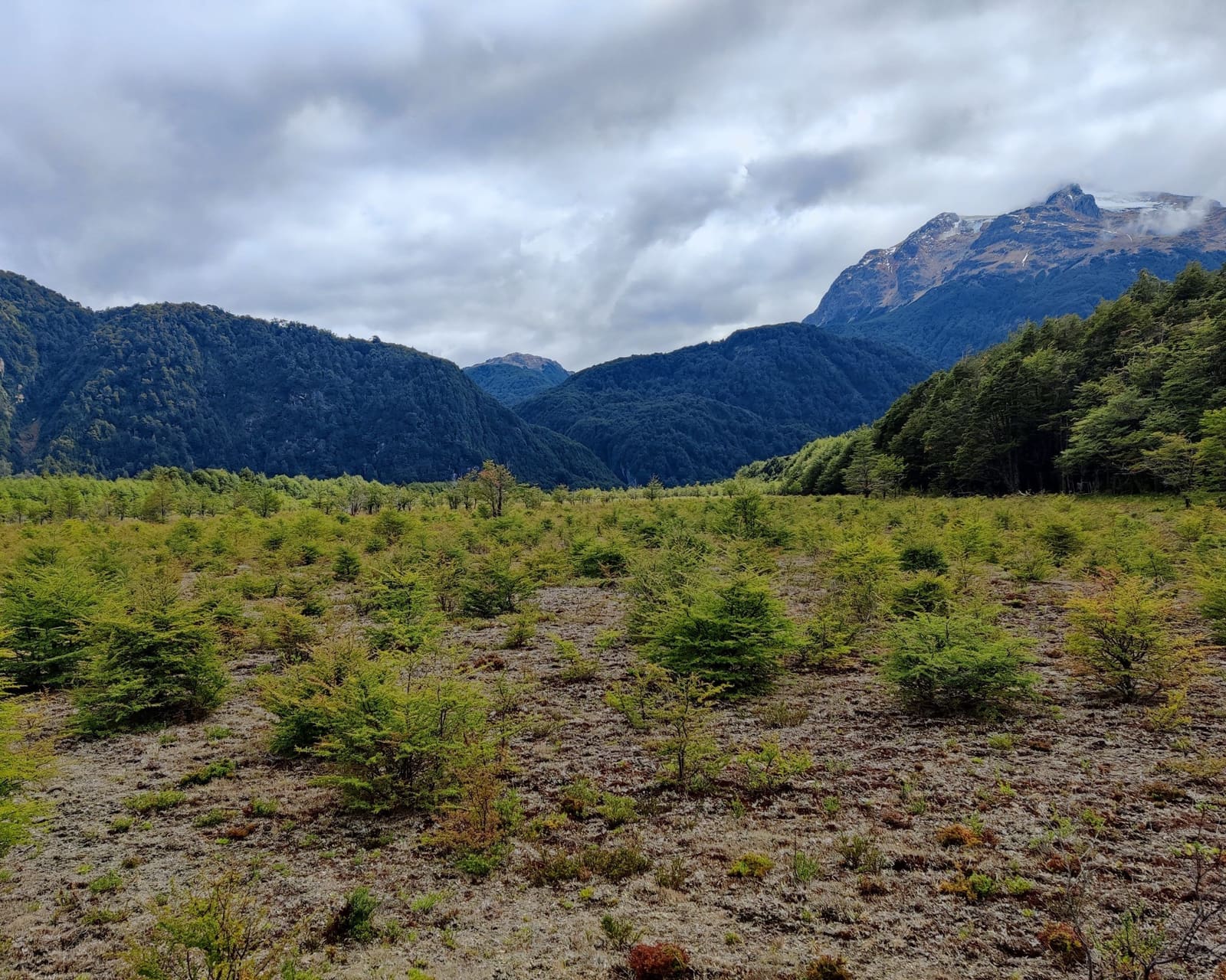 Terreno en venta en Río Ibáñez — foto 5
